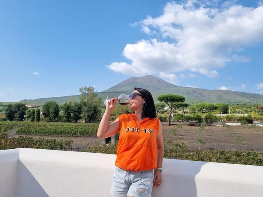 Mount Vesuvius: 5 Wine Tastings With Tour & Lunch Included - Wine and Culinary Experience