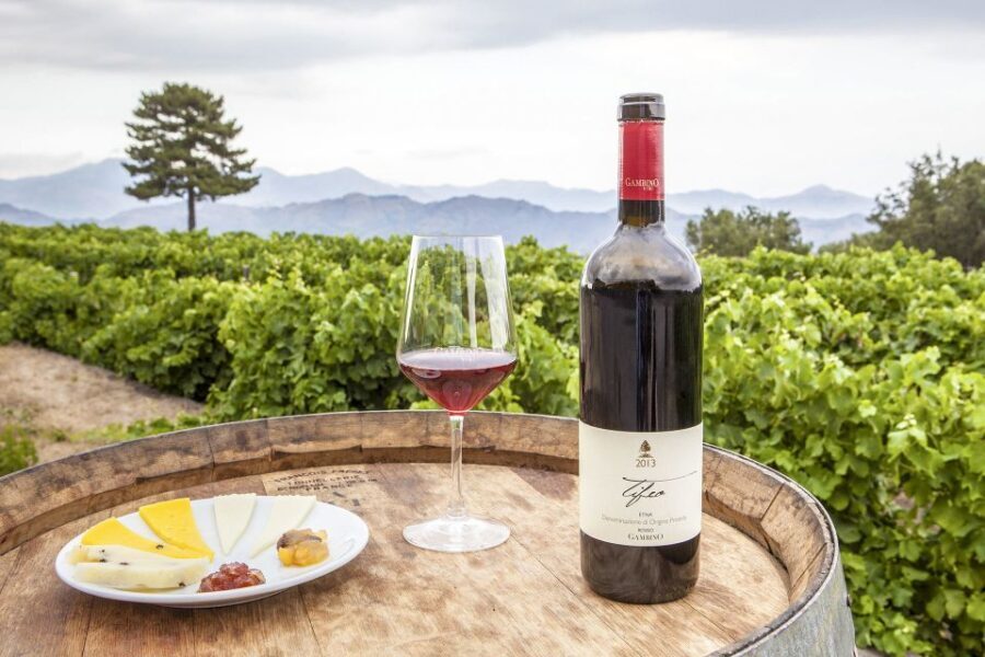 Mt. Etna Private Tour with Food and Wine Tasting - The Scenic Drive and Zafferana Etnea