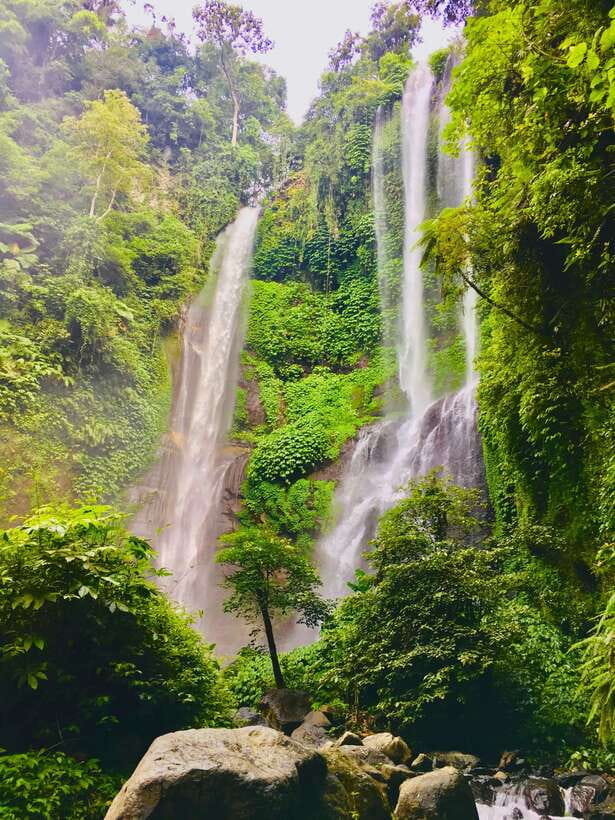 Munduk: Best tour intenery/ banyumala & sekumpul waterfalls - What’s Included and What’s Not