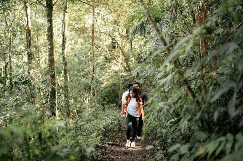 Munduk: Twin Lake Jungle Hike, Ulun Danu Temple, & Waterfall - Why This Tour Works Well for You