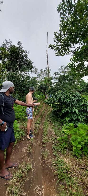 Munduk: Waterfall,Coffee Plantations & Hydrangea Trail - The Value of This Tour