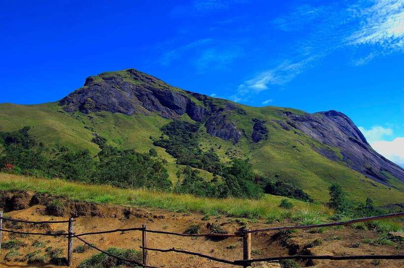 Munnar& Alleppey 3N/4D Exclusive Tour with Houseboat Stay - Munnar: The Heart of the Hill Country
