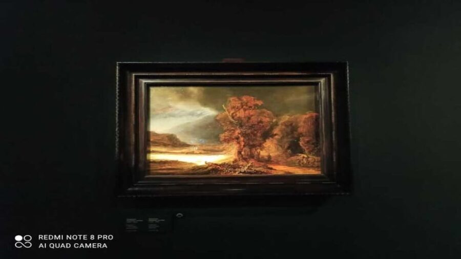 Museo Czartorisky : Visita in Lingua Italiana salta fila - Introduzione allesperienza