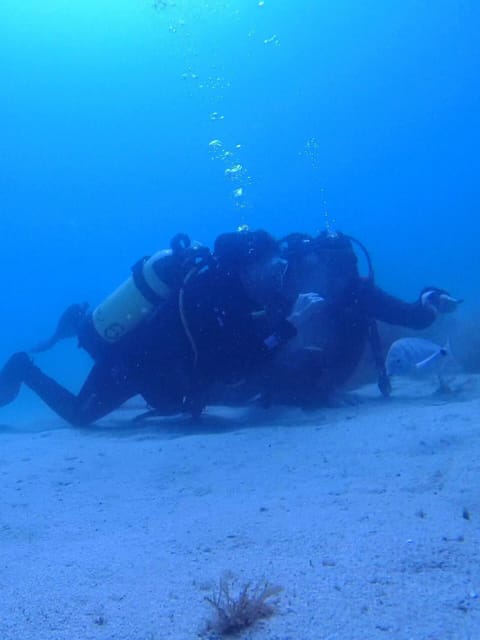 My first scuba dive in the Ocean from Madeira - Detailed Breakdown of the Experience