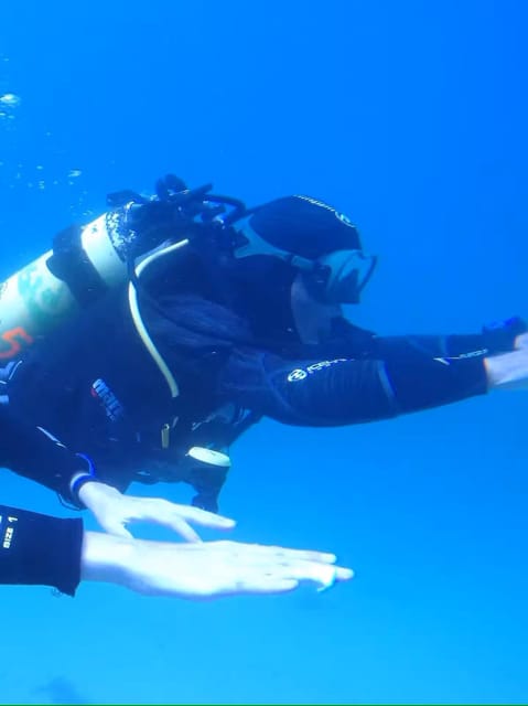 My first scuba dive into the Ocean from Sao Miguel - Why This Tour Stands Out