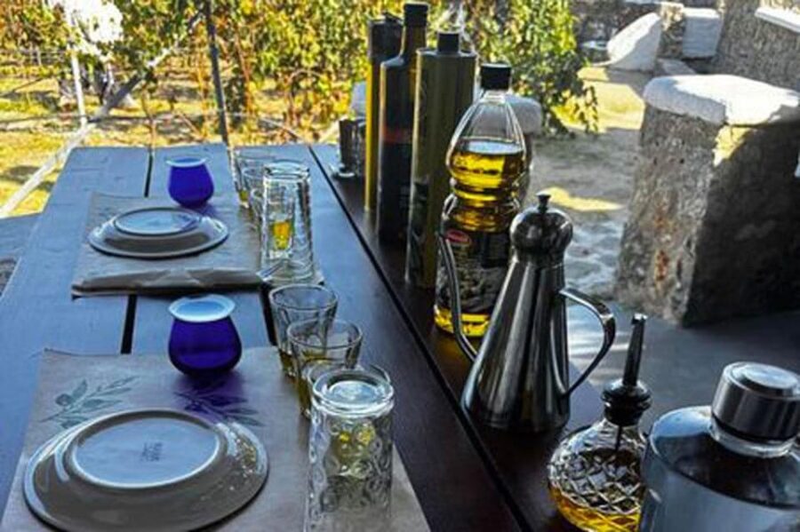 Mykonos: Olive Oil Tasting Experience - What You Can Expect from the Tour