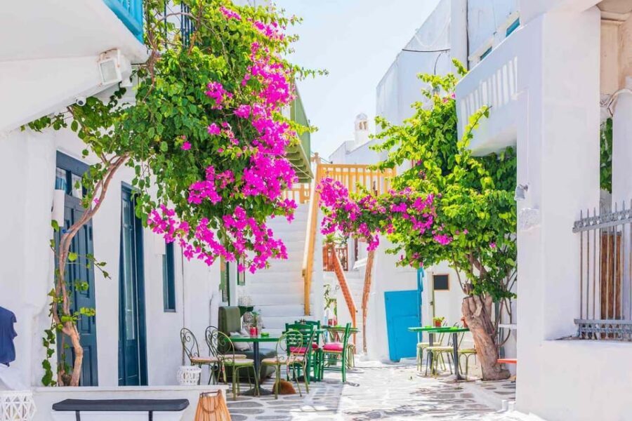 Mykonos Private 4 Hours Van & Walk - Free Port Pick-up - Why This Tour Offers Good Value