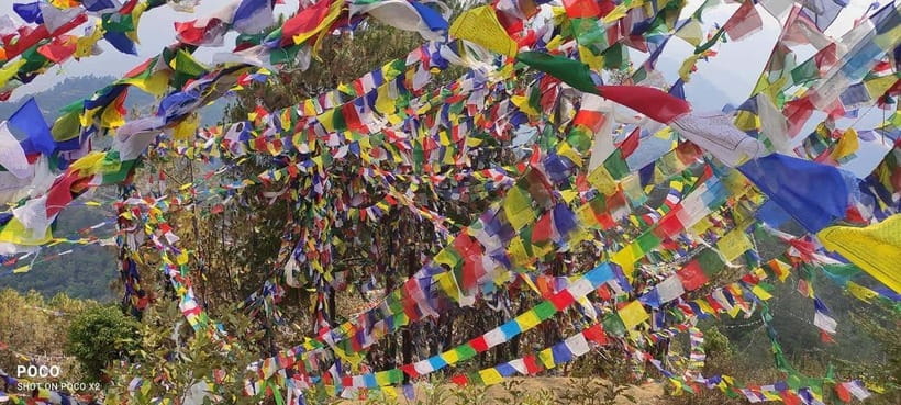Namo Buddha and Thrangu Tashi Yangtse Monastery Tour - Practical Details and What to Expect