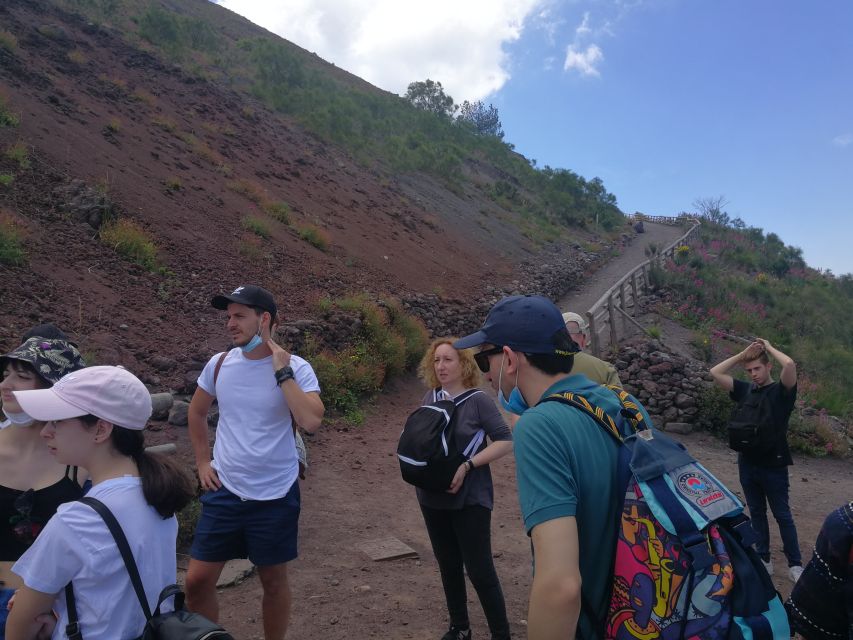 Naples: Pompeii, Mount Vesuvius, and Herculaneum Tour - Who Will Love This Tour?
