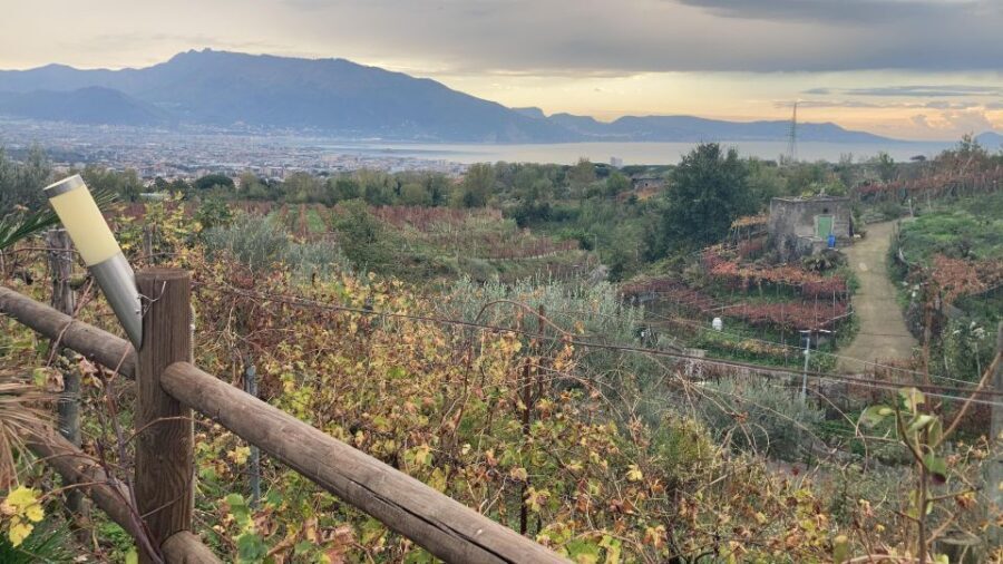 Naples to: Pompei , Vesuvius, Ercolano - Why We Think This Tour Offers Good Value