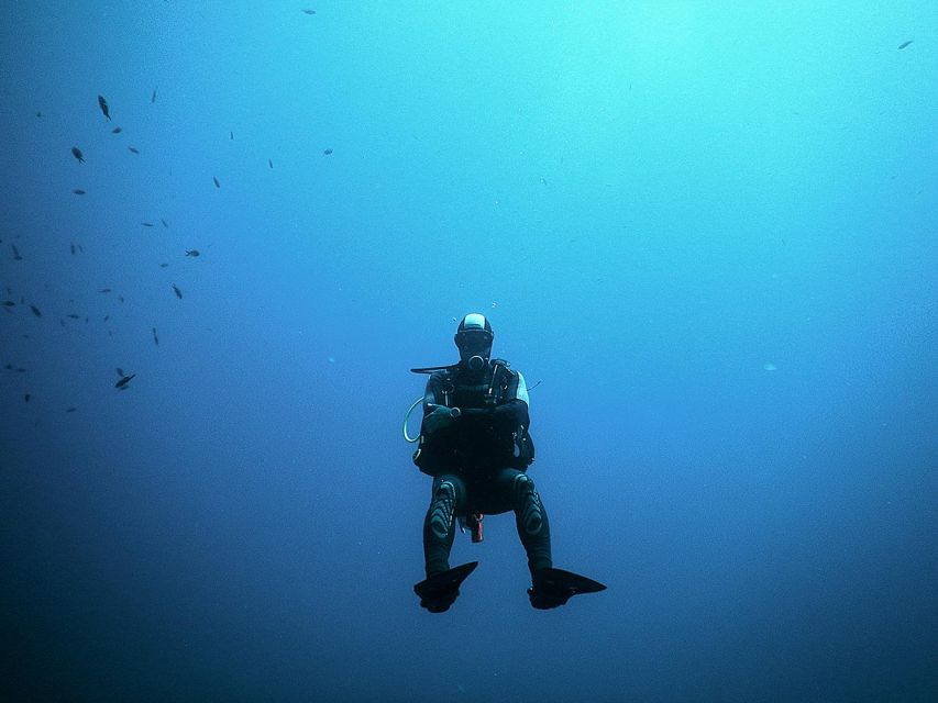 Naxos: Discover Scuba Dive with Nima Dive Center - The Itinerary: What to Expect