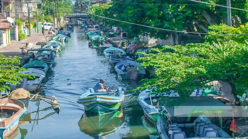 Negombo City : Explore the Fish Market & Dutch Canal by Boat - How It Compares to Similar Experiences