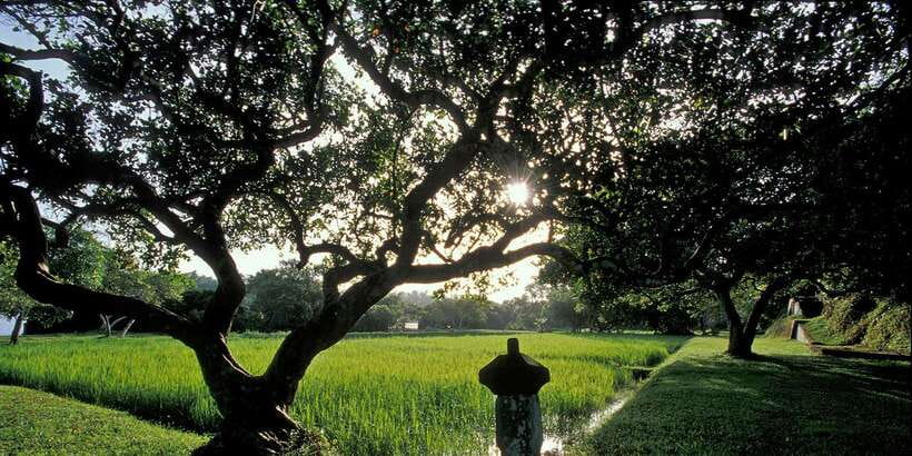 Negombo/Colombo: Bawa's Estate & Brief Garden Private Tour - Exploring the Gardens of Sri Lanka: A Detailed Review