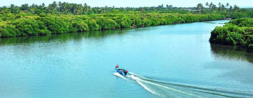 Negombo:Dutch Canal, Lagoon, Muthurajawela Private Boat Tour - The Experience: A Closer Look