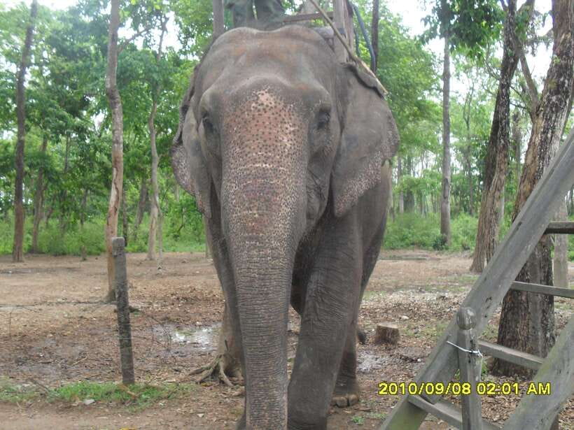 Nepal: Kathmandu and Chitwan National Park Tour - The Scenic Drive to Chitwan