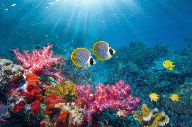 Nha Trang: Fantastic Tour W Snorkeling & BBQ at Mini Beach - Itinerary Highlights