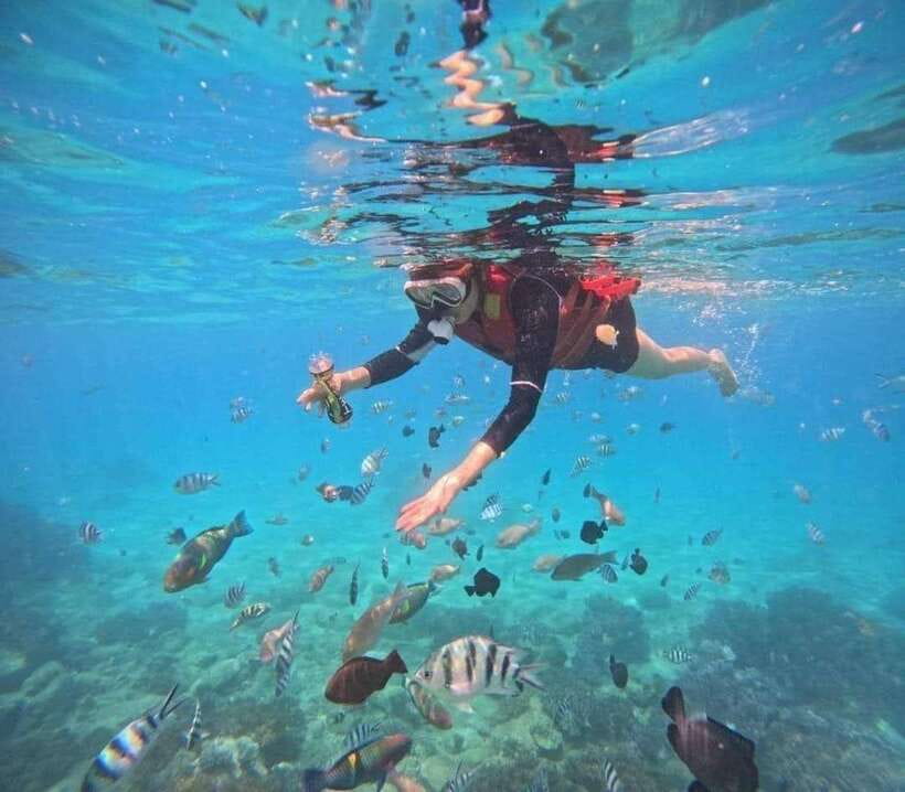 Nha Trang: Snorkeling at Marine Park With Lunch - Highlights of the Snorkeling Adventure