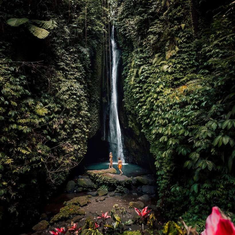 North Bali: Monkey Forest -Waterfall- Rice Terrace-Ulun Danu - The Experience and Value
