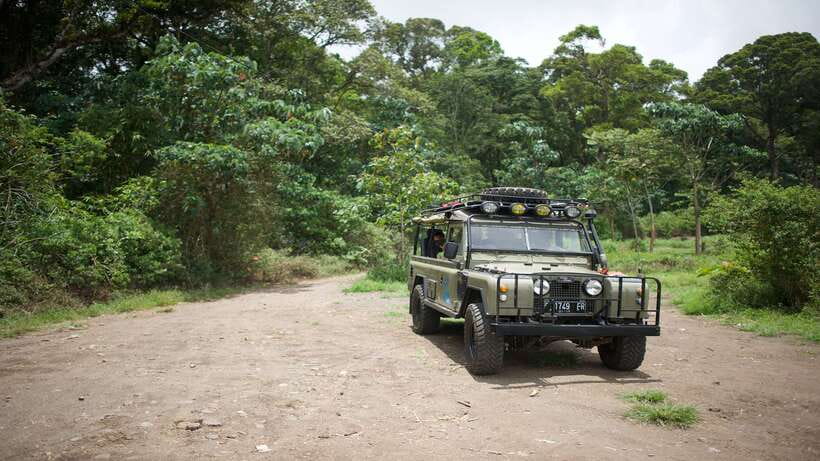 North Bali: Private Guided 4x4 Jeep, Cycling & Hot Spring - An In-Depth Look at the North Bali Tour Experience