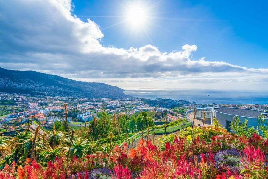Nun's Valley & Pico dos Barcelos Madeira Island Tour - Authentic Experiences and Practical Considerations