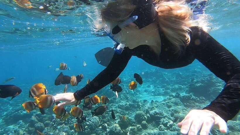 Nusa Dua: Tanjung Benoa Snorkeling Tour with Pickup Options - The Snorkeling Experience in Tanjung Benoa