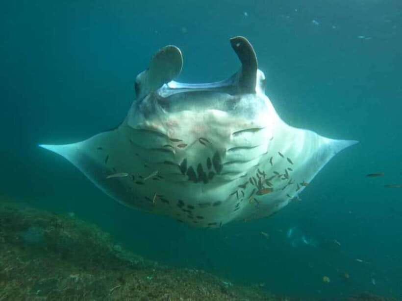 NUSA PENIDA ALL-INCLUSIVE WEST TRIP WITH SNORKLING 3 SPOT - Detailed Breakdown of the Itinerary  