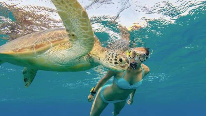 Nusa Penida: Snorkeling at Manta Point and West Coast Tour - An In-Depth Look at What You Can Expect