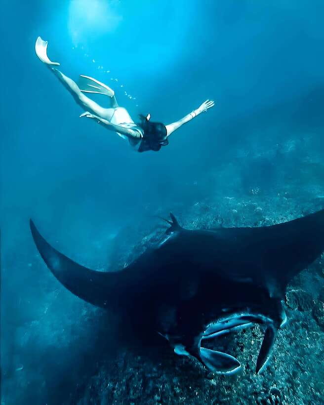 Nusa Penida: Snorkeling Trip with Manta Rays From Bali - The Itinerary: A Day in the Water