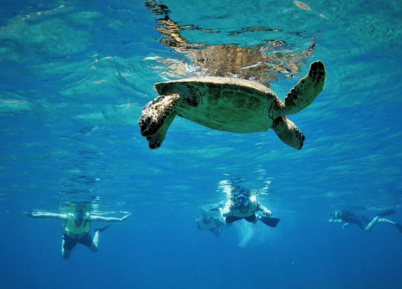 Nusa Penida: Spend time snorkeling with rays and turtles - Breaking Down the Itinerary