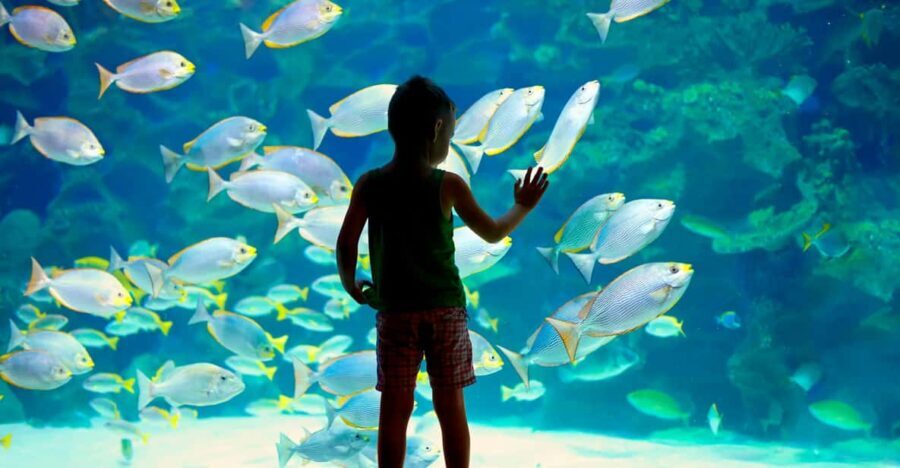 Oceanographic Museum of Monaco Ticket - Practical Tips for Visiting