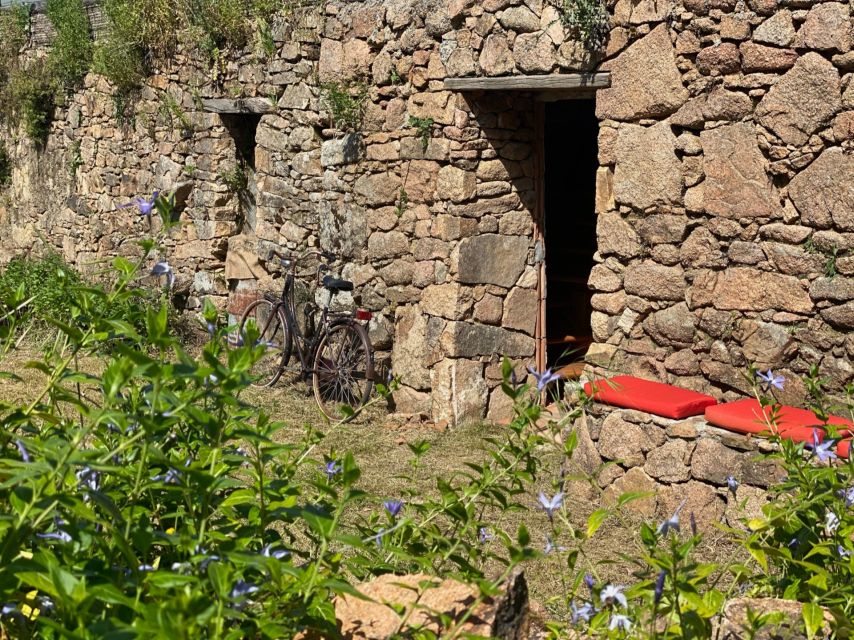 Olbia: Sardinian Pasta-Making Guided Workshop - The Itinerary and What to Expect