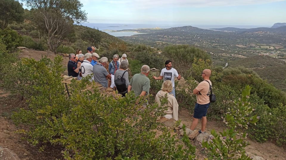 Olbia: Visit a Myrtle-Making Factory With Tasting - Tasting Experience