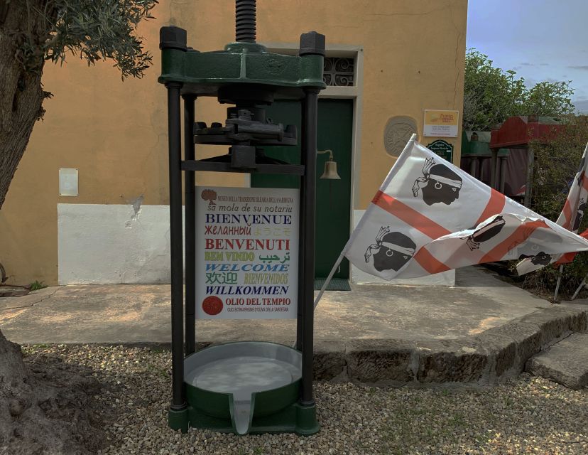 Olive Oil Museum: Extravirgin Lesson - Food & Wine Tasting - Itinerary Details