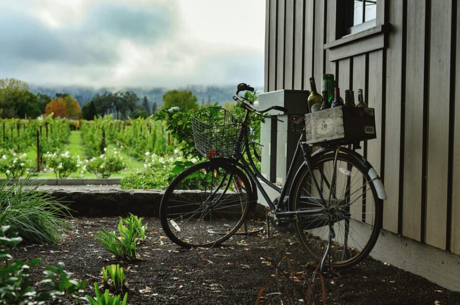 One Day Winery Tour with Wine Tasting and Cheese snack - Analyzing the Value