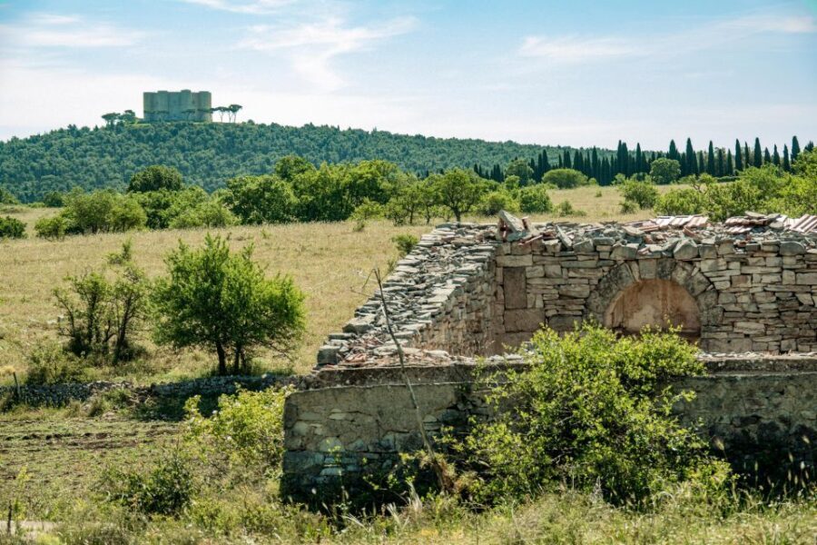 Organized tour from Bari to Castel del Monte - Final Thoughts