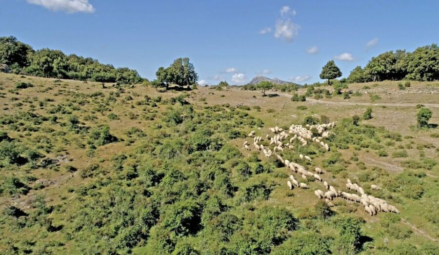 Orgosolo: 4x4 private tour in Supramonte w/ murals visit - A Detailed Look at the Itinerary
