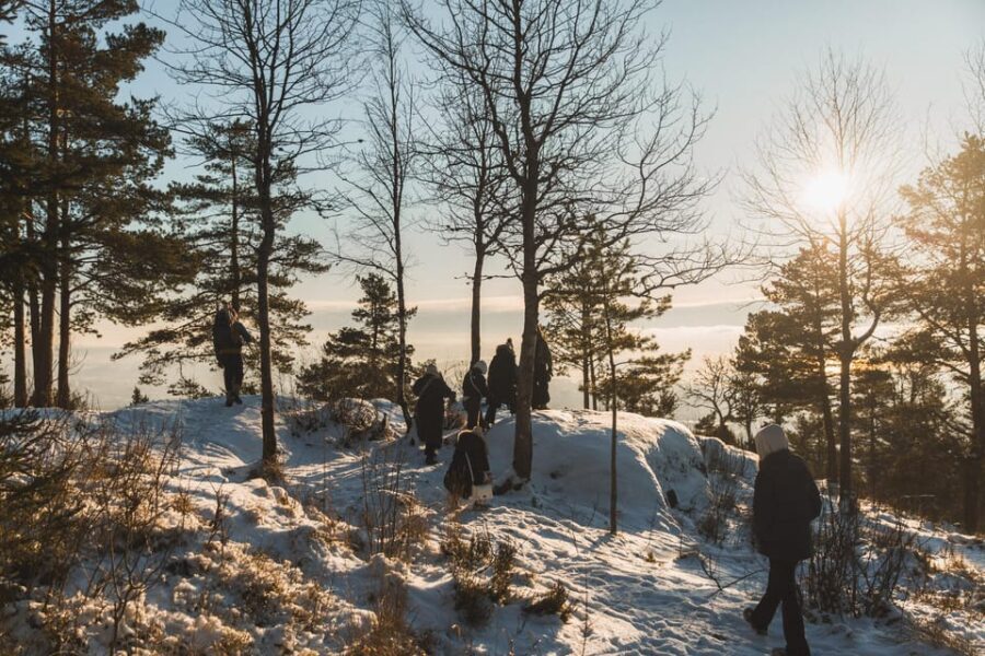 Oslo: Best View of the Oslofjord Winter Edition - An In-Depth Look at the Experience