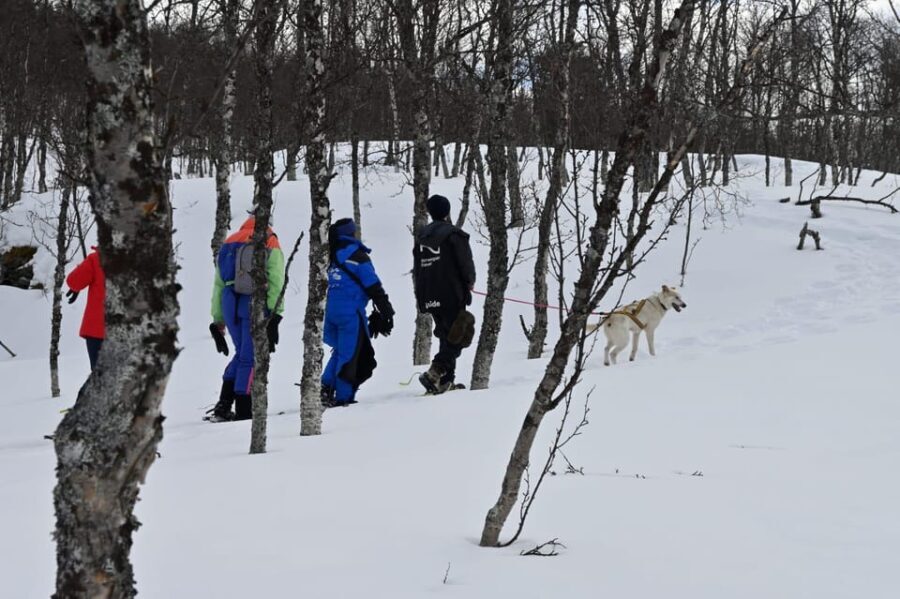 Oslo: Snowshoeing in the Forest with Norwegian BBQ - The Value of the Tour for Travelers
