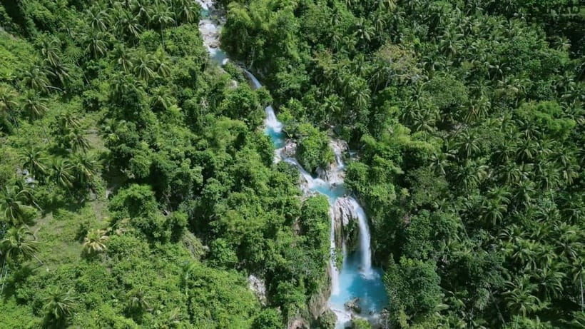 Oslob: Whale Sharks, Inambakan Falls & Moalboal Sardines - The Practical Side: What’s Included and What to Consider