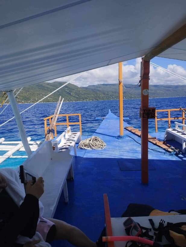 Oslob: Whale Sharks, Tumalog Falls & Sumilon Trio Adventure - What the Reviews Say