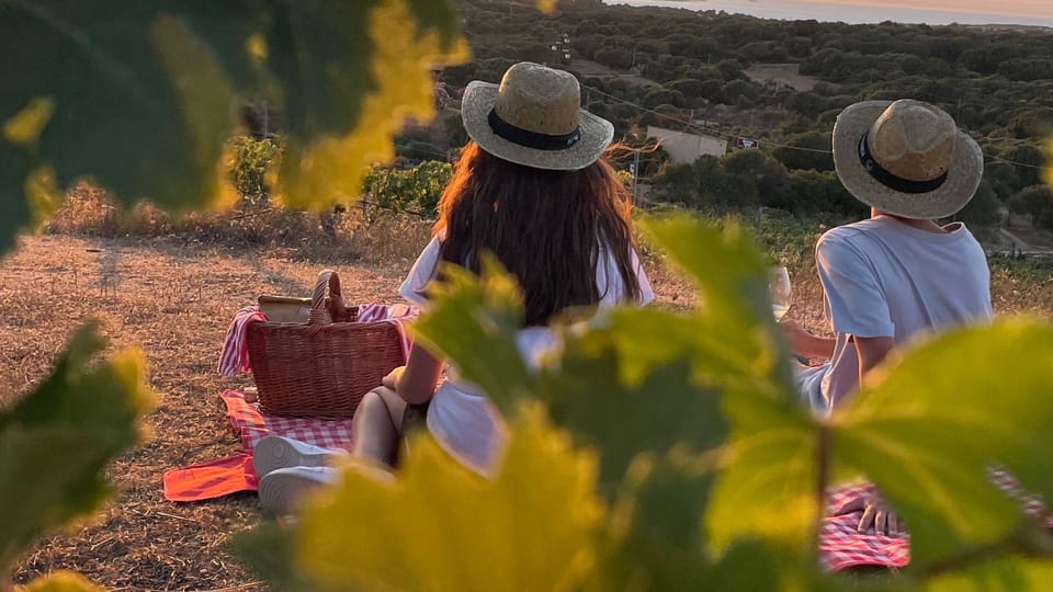 Palau: Picnic in a Gallura Estate - Picnic Experience