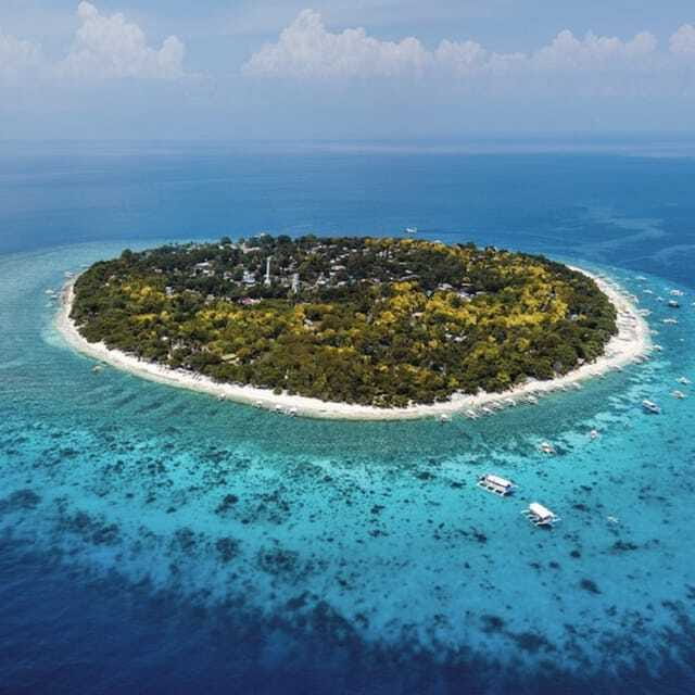 Panglao:Balicasag Island Tour with Turtle & Dolphin Watching - The Sum Up  