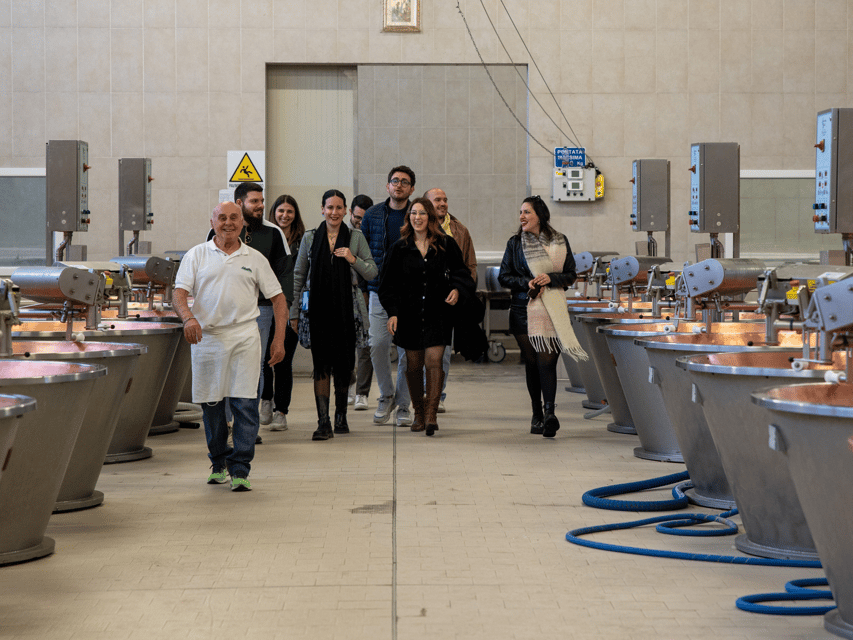 Parmesan Cheese Factory Tasting and Tour Near Modena - Itinerary and Experience
