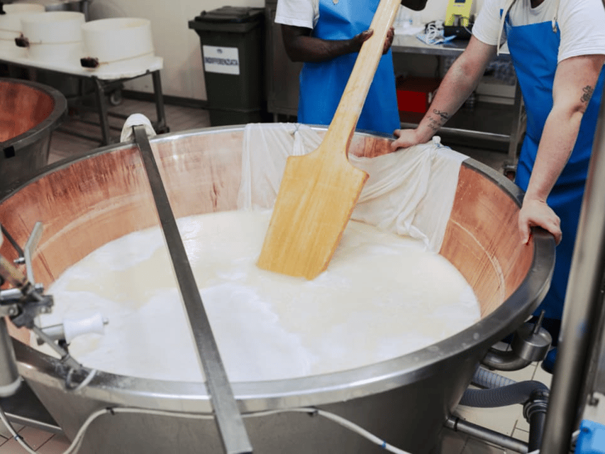 Parmesan Cheese Factory Tour & Tasting Near Parma - Exploring the Cheese Factory