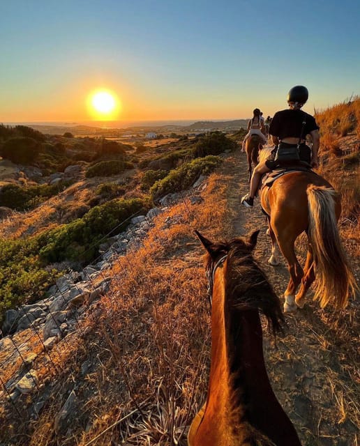 Paros: Horseback Riding Tour at Sunset - Who Will Love This Experience?