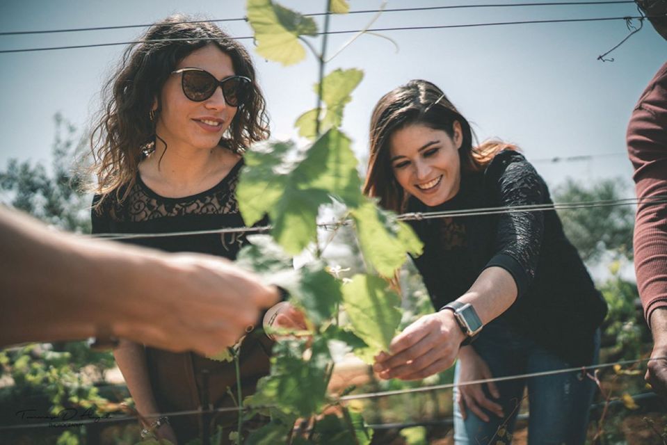 Partinico: Farm Augustali Winery Tour With Picnic & Tastings - Experience Highlights