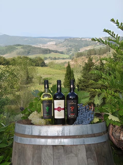 Peccioli: Wine Tasting Experience - Guided Tour of the Wine Production Process