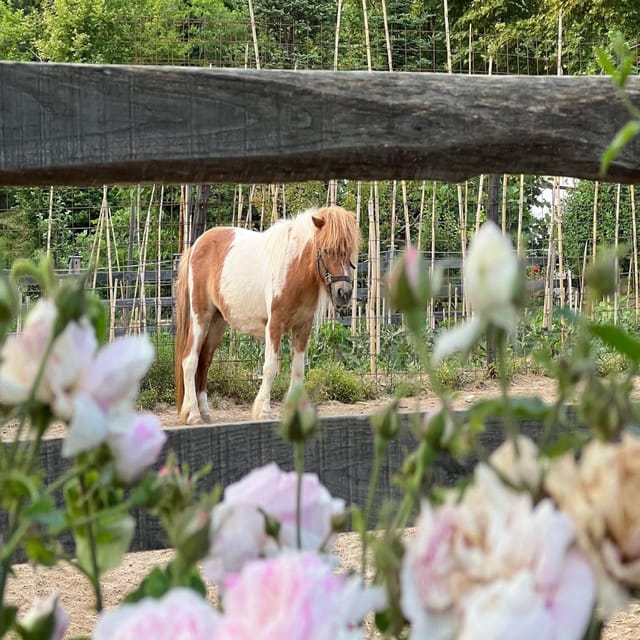 Pelion Private Nature Experience : Farm-to-Table Cooking - Who Would Love This Experience?  