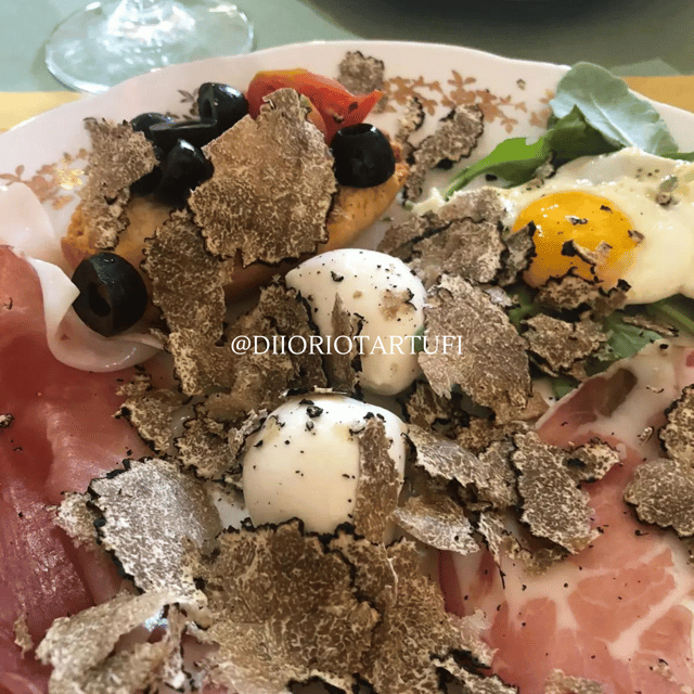PERONATTO FOR TWO+ TRUFFLE HUNTING, LOCAL TASTING + PRIVATE SPA - Final Thoughts