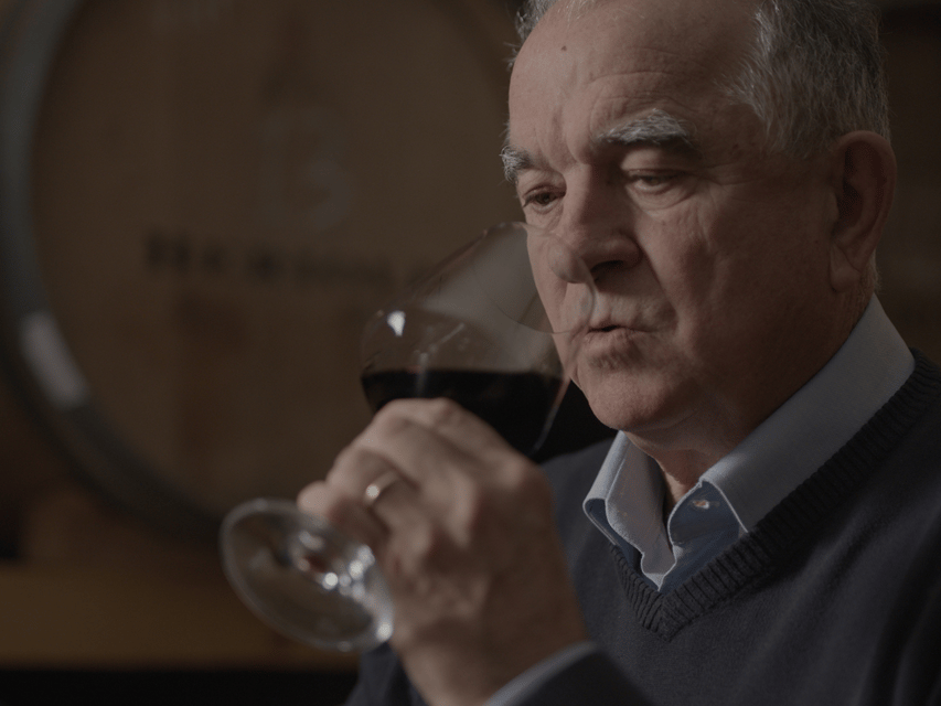 Perugia Winery Visit & Tasting Near the Lake Trasimeno - Taste Organic and Sustainable Wines